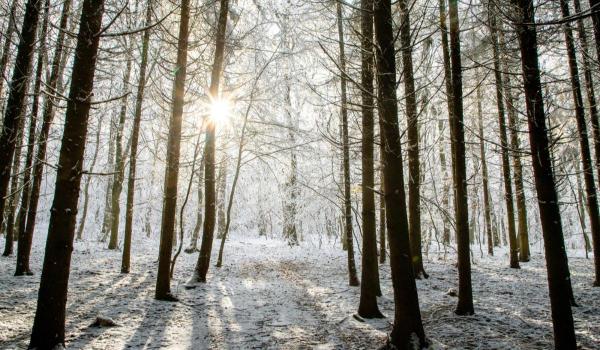 Vremea 23 noiembrie - 23 decembrie. Ce temperaturi vor fi până în ajun de Crăciun