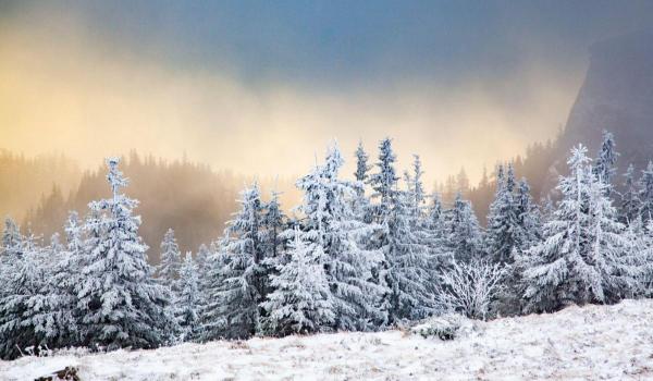 Vremea 1 - 27 ianuarie 2025. Prima lună a noului an aduce condiții meteo neobişnuite