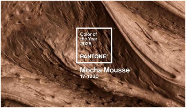 Mocha Mousse, culoarea anului 2025. Pantone dă tonul în tendinţele de design