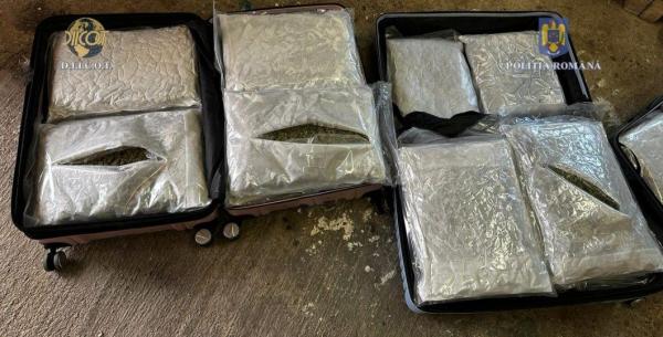 Ortoped din Arad, prins când primea 20 kg de cannabis. Urma să dea 2.000 de euro pe drogurile aduse din Spania