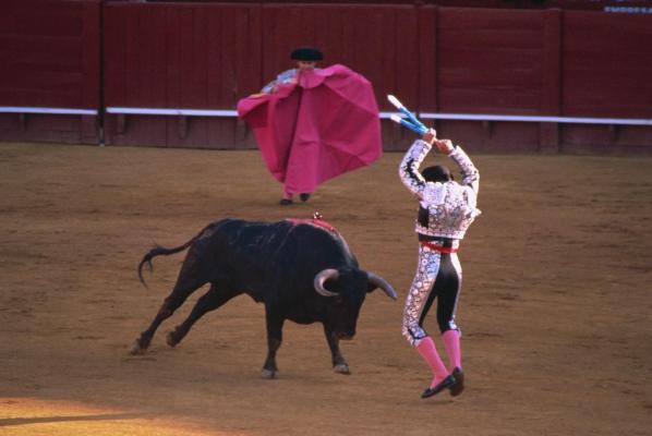 Coridele, interzise din nou în capitala Mexicului, la 3 zile după reluarea lor oficială