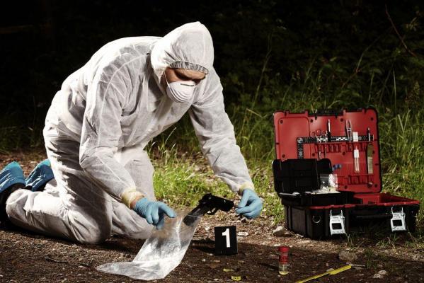 Misterul unei dispariţii vechi de 20 de ani ar putea fi rezolvat, după ce oasele aparţinând unui copil au fost descoperite în grădina unei case din Franţa