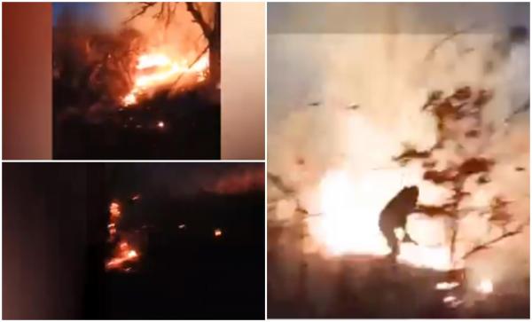 Incendiu puternic de vegetaţie în Mehedinţi. Localnicii au sărit în ajutorul pompierilor copleșiți de flăcările uriașe