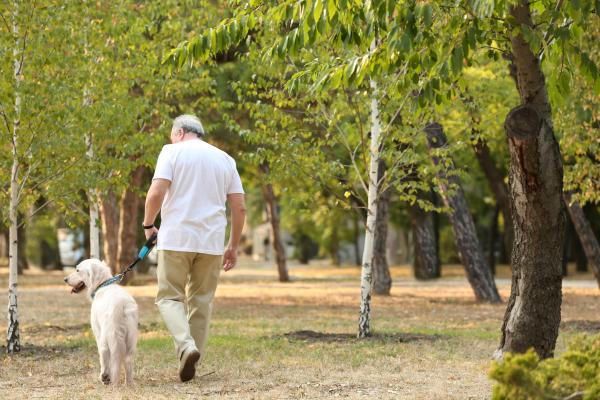 Bătrân împuşcat mortal în timp ce-şi plimba câinele într-un orăşel liniştit, cu 2.000 de locuitori, din Scoţia