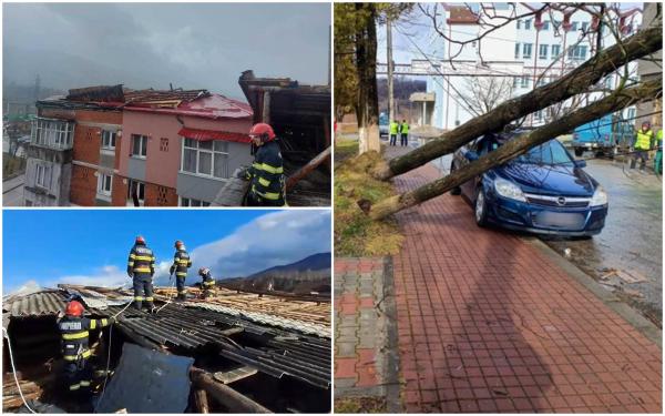 Vântul puternic face ravagii în mai multe judeţe din ţară. Copaci căzuţi peste maşini sau fire electrice şi acoperişuri smulse de vijelie