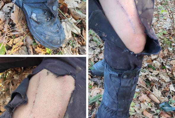 O drumeţie în Munţii Nemira, la un pas să se termine cu o tragedie după ce trei tineri din Bacău au dat nas în nas cu ursul