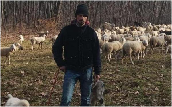 A renunțat la liceu și s-a făcut cioban. Cât câștigă pe lună tânărul italian