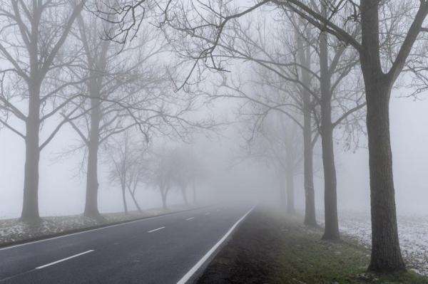 Mai multe judeţe, sub avertizare cod galben de vreme severă în următoarele ore. ANM anunţă ceaţă, gheţuş şi vizibilitate sub 50 m în unele zone