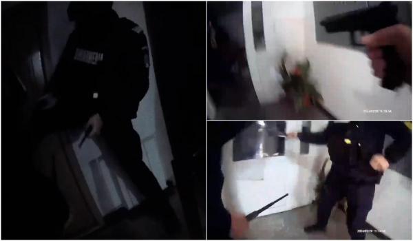 Lipsa internetului l-a dus pe un sucevean în pragul nebuniei. A ieşit cu un topor şi a tăiat cablurile din holul blocului, apoi şi-a terorizat vecinii