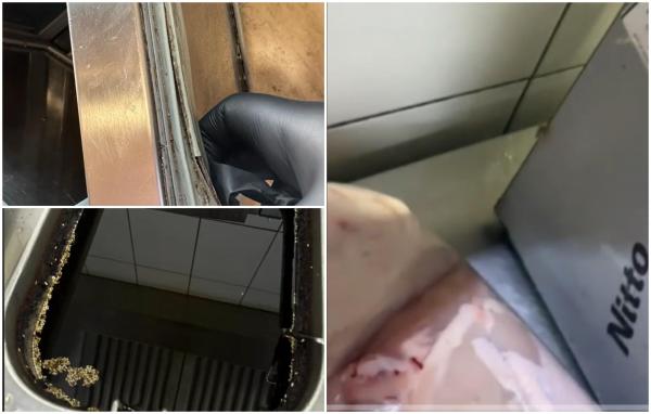 "Cum se spune în chineză jeg?".  Restaurantul chinezesc Templul Soarelui, închis după ce ANPC a descoperit gândaci în carne