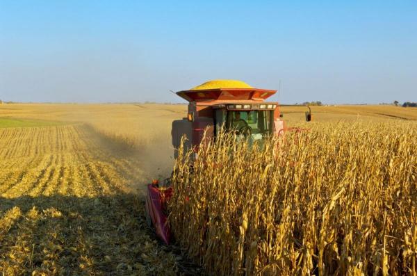 Fermierii români aşteaptă în fiecare an să primească subvenţii din partea APIA