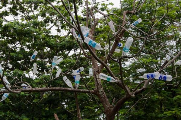 De Ziua Planetei Pământ se continuă lupta împotriva utilizării produselor din plastic