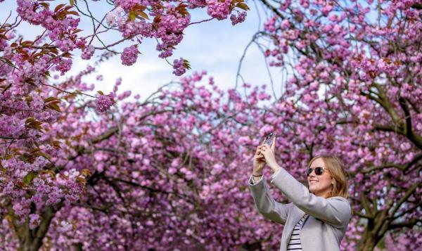 Vremea de Florii și de 1 Mai. ANM a emis prognoza meteo pentru următoarele două săptămâni, intervalul 22 aprilie - 5 mai 2024