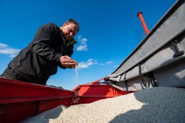 Noul produs rusesc de care Europa este dependentă după ce a renunţat la gaze: "Este un instrument puternic. Să nu fim naivi"