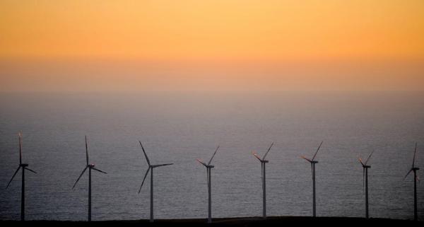 Investiţie uriaşă în România. Afacerea de 88 de milioane de euro realizată de o firmă de Cehia, în Constanţa