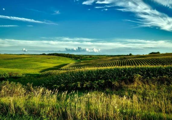 Praful de piatră ne poate ajuta să reducem substanțial CO2 din atmosferă