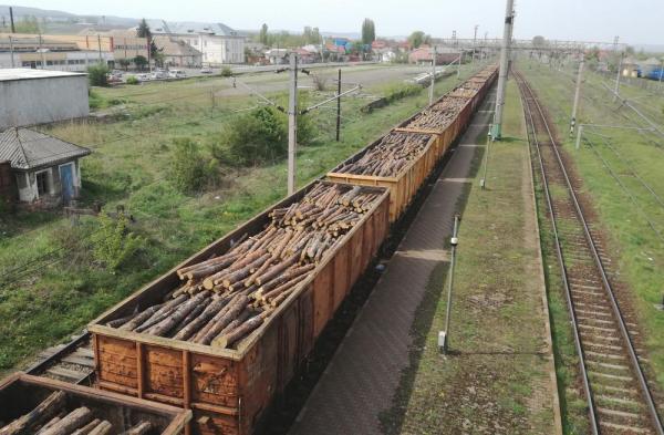 O persoană a fost accidentată mortal de un tren de marfă între staţiile Prunişor şi Gârniţa. Circulaţia a două trenuri, oprită temporar