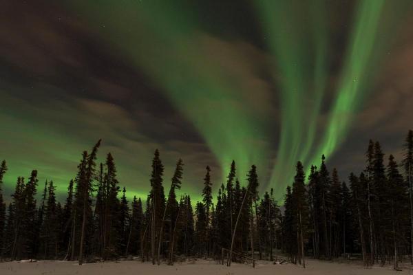 Aurora boreală, un fenomen deosebit de spectaculos