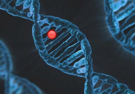 Descoperire despre ADN