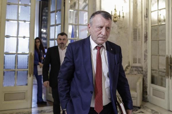 Paul Stănescu: "PSD va avea candidat la funcţia prezidenţială un membru al partidului"