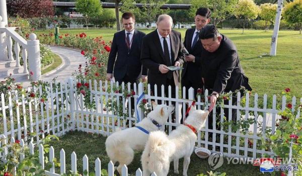 Putin a primit doi câini din rasa pungsan de la Kim Jong Un, după semnarea acordului care a dat fiori Occidentului