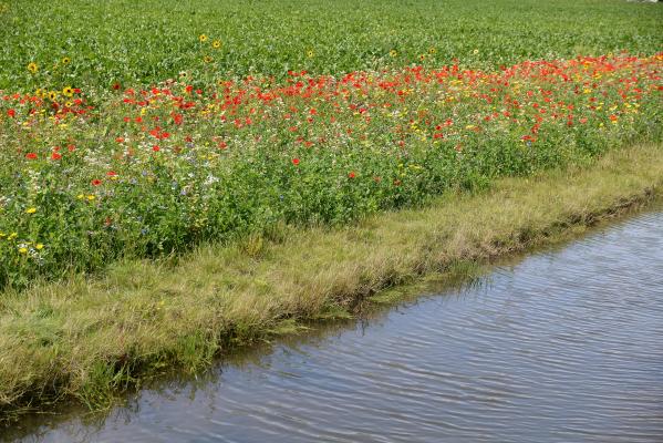 Copil de 13 ani, mort după ce s-a înecat în timp ce era la scăldat într-un canal. Tragedie în Timiş