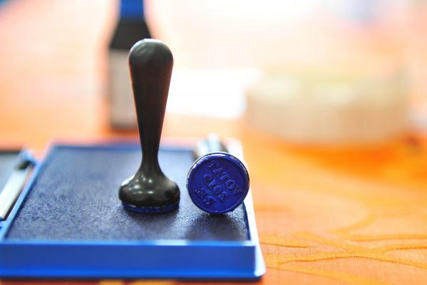 Rezultate exit-poll: cum îşi împart partidele Consiliile Judeţene la nivel naţional. PSD are un scor de 33%, iar PNL are 28%