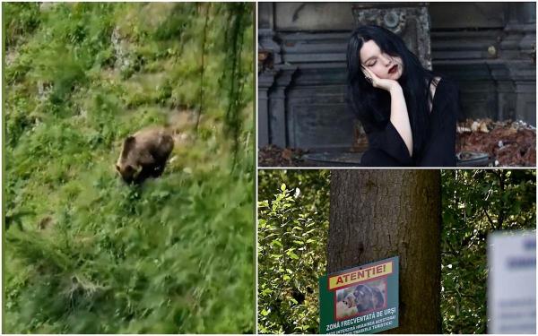 Raportul legiştilor în cazul fetei atacate de urs. "Au fost două tipuri de leziuni"