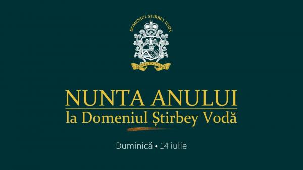 Antena transmite în exclusivitate imagini de la nunta lui Ianis şi a Elenei Hagi