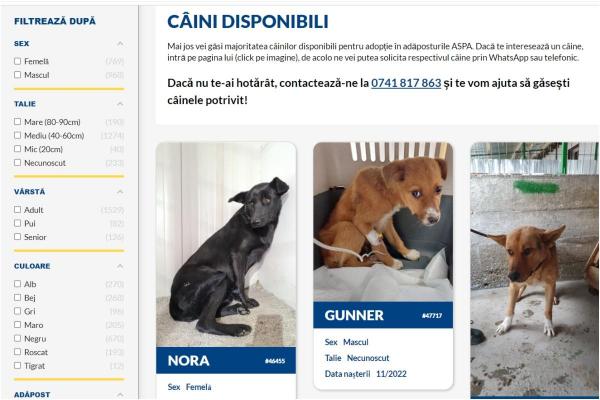 Catalogul online al câinilor fără stăpân din adăposturile ASPA a fost lansat. Aproape 2.000 de suflete îşi caută o familie iubitoare