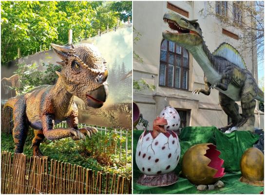 Dino Park din București, oprit temporar. Amenzi de 11.000 de lei date de ANPC: "Viața copiilor, pusă în pericol"