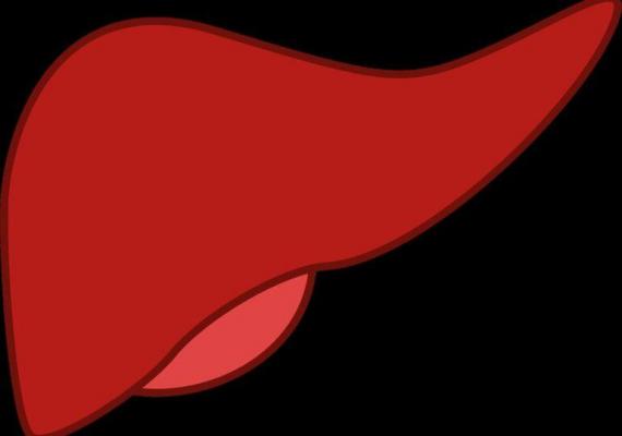 Leziunile hepatice cauzate de stres și îmbătrânire ar putea fi reversibile