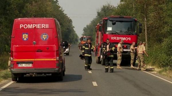 Incendiu masiv în Giurgiu: 42 de hectare, cuprinse de flăcări. Intervenţia pompierilor, îngreunată de vânt