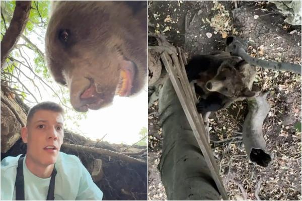 Un influencer s-a filmat când intră în bârlogul ursului şi dă nas în nas cu animalul: "Nu o să vă vină să credeţi"