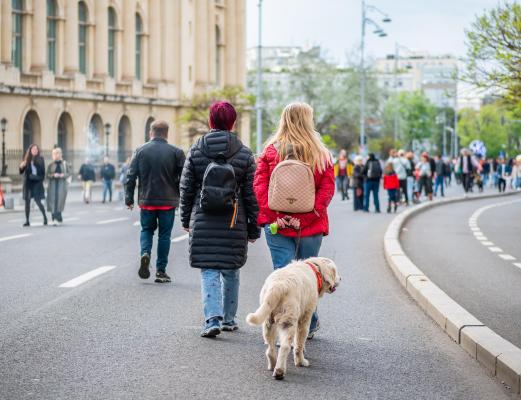 Calea Victoriei București