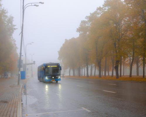 ANM a emis cod galben de ceaţă densă în două judeţe din ţară