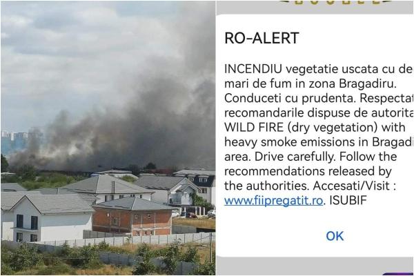 Incendiu de vegetație puternic în Bragadiru. Mesaj Ro-Alert, trimis pe o rază de 2 km din cauza degajărilor mari de fum