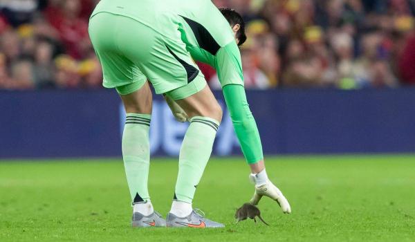 Meci de fotbal întrerupt de un şobolan. Rozătorul a părăsit terenul în aplauzele spectatorilor