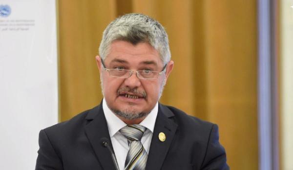 Senatorul Ninel Peia a jignit o colegă în plen: "Prea mult paracetamol în sarcină". USR cere sancţionarea lui