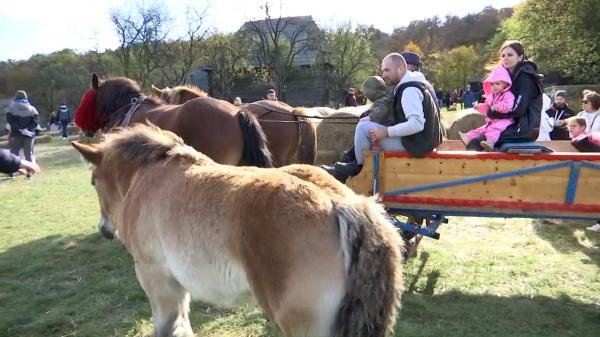 Festivalul Toamnei la Cluj-Napoca. Mii de oameni s-au întors pentru o zi în satul românesc