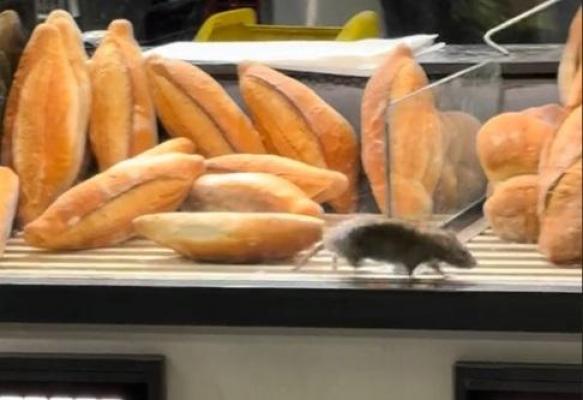 Şobolan, filmat cum se plimbă printre produse într-o brutărie din Bucureşti. Unitatea, închisă temporar