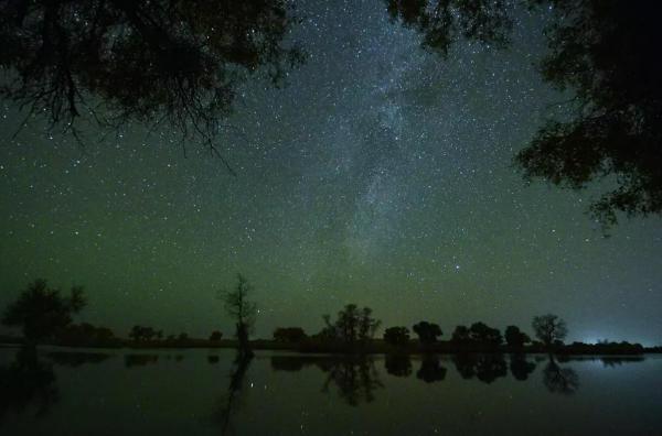 Orionide 2025. Când atinge punctul maxim ploaia de stele