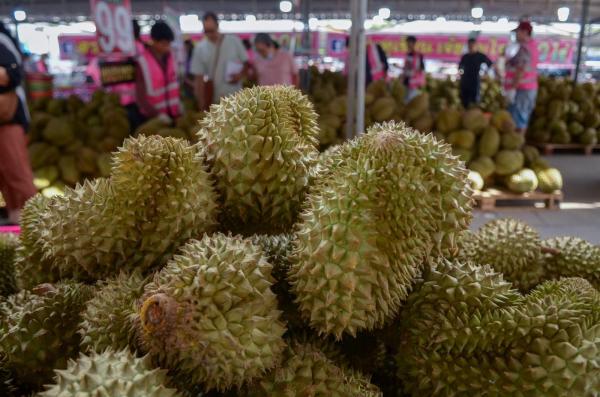 Un oraş german, "paralizat" de un fruct. Pompierii au intervenit de mai multe ori