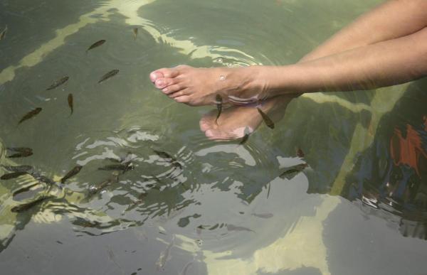 Şi-a făcut crescătorie de peşti după ce i s-a inundat subsolul. Povestea unei rusoaice ignorată de autorităţi