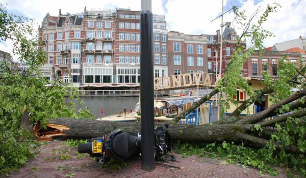 Autorităţile olandeze încep distribuirea unei broşuri cu instrucţiuni pentru scenarii grave, inclusiv război