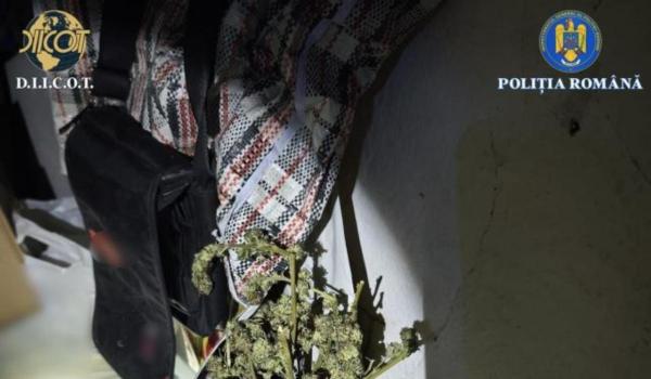 Percheziții în Brașov și Vaslui pentru trafic de droguri. Suspecţii, duşi la audieri