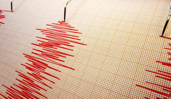Cutremur în județul Buzău azi. Ce magnitudine a avut seismul