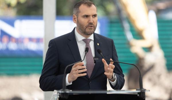 Amenzi de aproape 250.000 de lei pentru tăieri ilegale de copaci pe Bd. Nicolae Grigorescu, în București