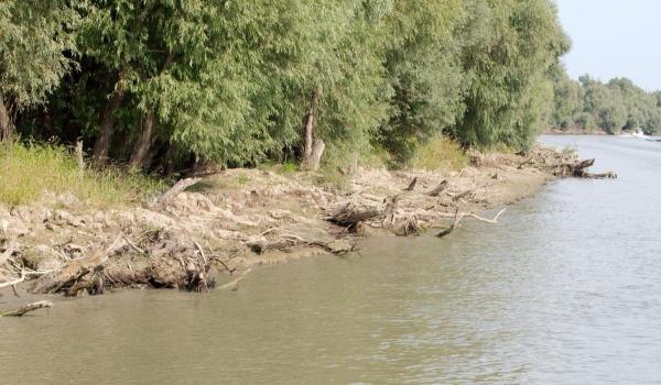 Doi bărbaţi au făcut parcare în albia râului Argeşel. Au fost amendaţi cu câte 15.000 de lei