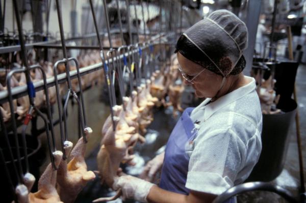 După patru ani, o cunoscută companie olandeză părăsește piața din România